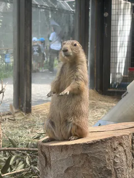 名古屋市東山動植物園に投稿された画像（2026/8/21）