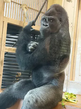 名古屋市東山動植物園に投稿された画像（2026/8/21）