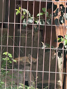 名古屋市東山動植物園に投稿された画像（2026/8/21）