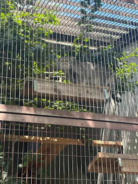 名古屋市東山動植物園に投稿された画像（2026/8/21）