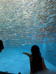 名古屋港水族館に投稿された画像（2026/8/21）