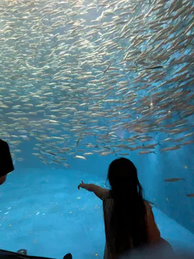 名古屋港水族館に投稿された画像（2026/8/21）