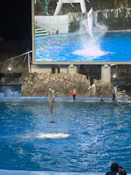 名古屋港水族館に投稿された画像（2026/8/21）