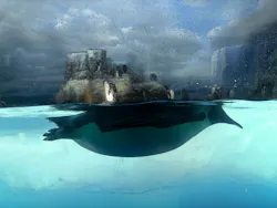 名古屋港水族館に投稿された画像（2026/8/21）
