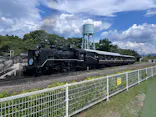 京都鉄道博物館×京都水族館に投稿された画像（2026/8/22）