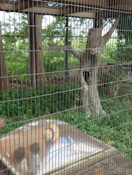 東武動物公園に投稿された画像（2026/8/21）