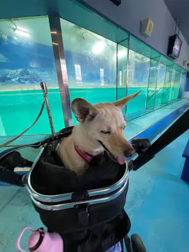 下田海中水族館に投稿された画像（2026/8/21）