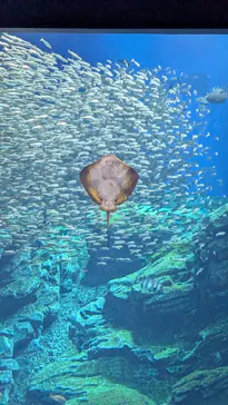 仙台うみの杜水族館に投稿された画像（2026/8/21）