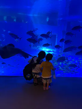 のとじま水族館に投稿された画像（2026/8/21）