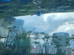 サンシャイン水族館に投稿された画像（2026/8/22）