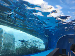 サンシャイン水族館に投稿された画像（2026/8/22）