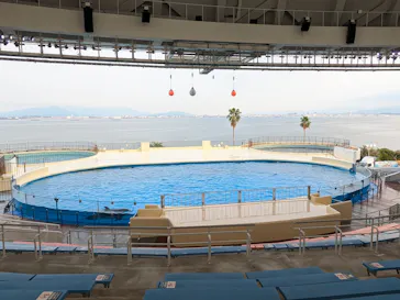 マリンワールド海の中道に投稿された画像（2026/8/22）