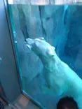 天王寺動物園に投稿された画像（2026/8/22）
