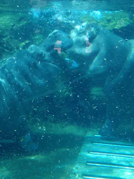 天王寺動物園に投稿された画像（2026/8/22）