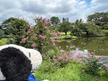 新宿御苑に投稿された画像（2026/8/22）
