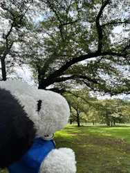 新宿御苑に投稿された画像（2026/8/22）