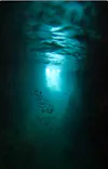 武藤潜水に投稿された画像（2026/8/22）