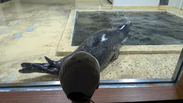 伊豆・三津シーパラダイスに投稿された画像（2026/8/22）