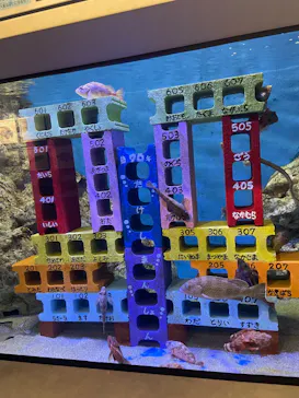 竹島水族館に投稿された画像（2026/8/22）
