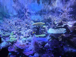 名古屋港水族館に投稿された画像（2026/8/22）