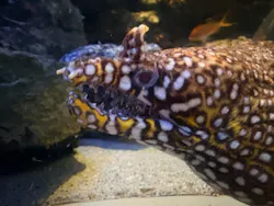 名古屋港水族館に投稿された画像（2026/8/22）