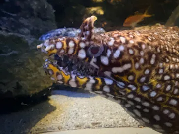 名古屋港水族館に投稿された画像（2026/8/22）