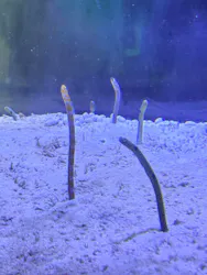 名古屋港水族館に投稿された画像（2026/8/22）