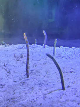 名古屋港水族館に投稿された画像（2026/8/22）