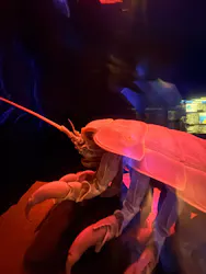 名古屋港水族館に投稿された画像（2026/8/22）