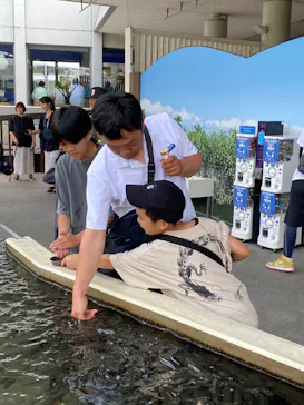 世界淡水魚園水族館　アクア・トトぎふに投稿された画像（2026/8/22）