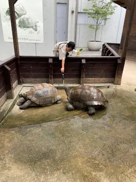 世界淡水魚園水族館　アクア・トトぎふに投稿された画像（2026/8/22）