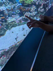 サンシャイン水族館に投稿された画像（2026/8/22）