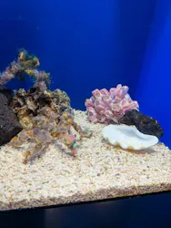 サンシャイン水族館に投稿された画像（2026/8/22）