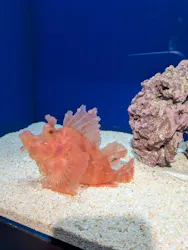 サンシャイン水族館に投稿された画像（2026/8/22）
