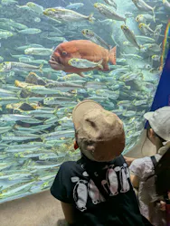 サンシャイン水族館に投稿された画像（2026/8/22）
