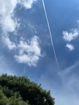 兼六園に投稿された画像（2026/8/22）
