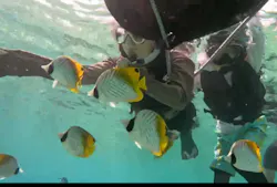 B-nature（ビーネイチャー）に投稿された画像（2026/8/22）