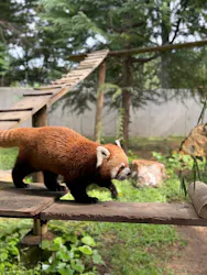 いしかわ動物園に投稿された画像（2026/8/22）