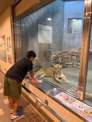 いしかわ動物園に投稿された画像（2026/8/22）