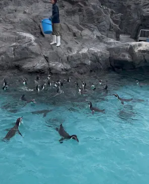 葛西臨海水族園に投稿された画像（2026/8/22）