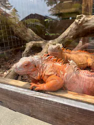 体感型動物園iZooに投稿された画像（2026/8/22）