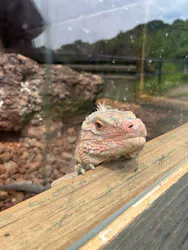 体感型動物園iZooに投稿された画像（2026/8/22）