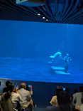 島根県立 しまね海洋館に投稿された画像（2026/8/22）