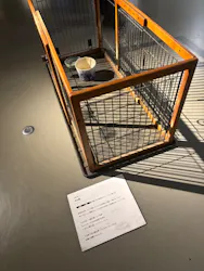 行方不明展さいたまに投稿された画像（2026/8/22）