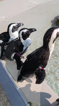 仙台うみの杜水族館に投稿された画像（2026/8/22）