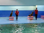 ゼロ距離水族館 伊勢シーパラダイスに投稿された画像（2026/8/22）