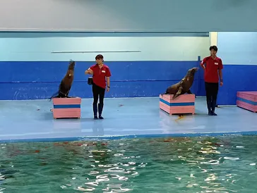 ゼロ距離水族館 伊勢シーパラダイスに投稿された画像（2026/8/22）