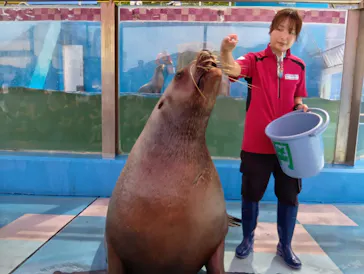 ゼロ距離水族館 伊勢シーパラダイスに投稿された画像（2026/8/22）