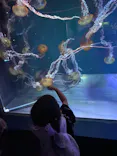 すみだ水族館に投稿された画像（2026/8/22）