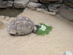 恩賜上野動物園に投稿された画像（2026/8/22）